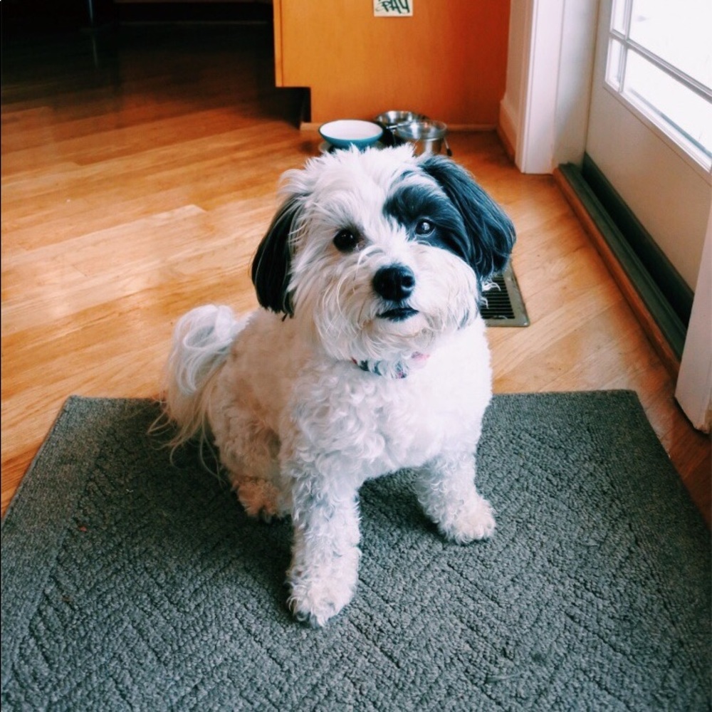 Meet your Posher, Jacjac